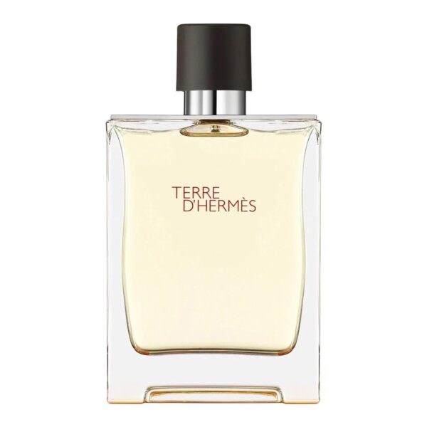 Hermes terre dhermes edt 1