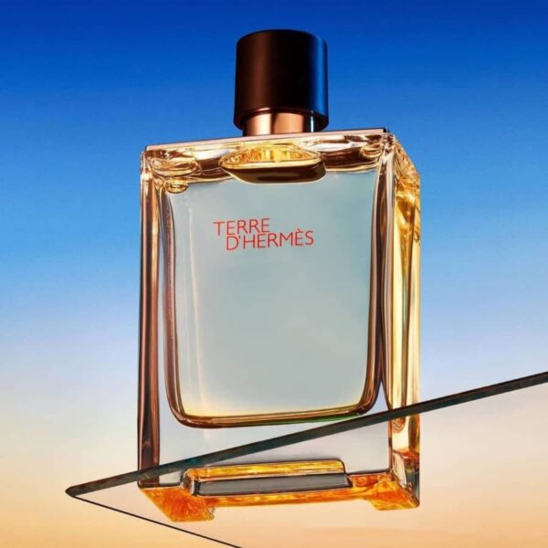 Hermes terre dhermes edt 6