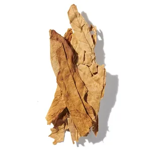 Tobacco (hương thuốc lá)