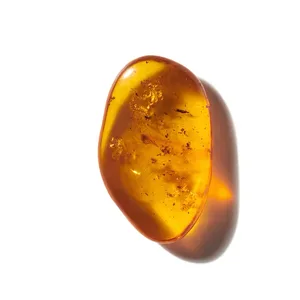 Amber hổ phách